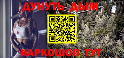 круглые Лесосибирск