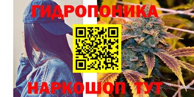 круглые Лесосибирск