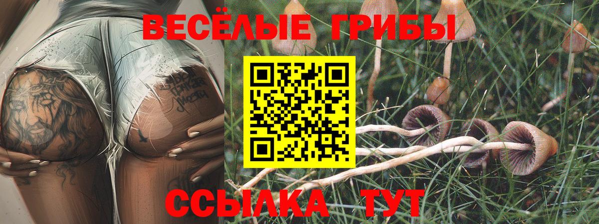 Галлюциногенные грибы Psilocybine cubensis  Вход с VPN  Туапсе 